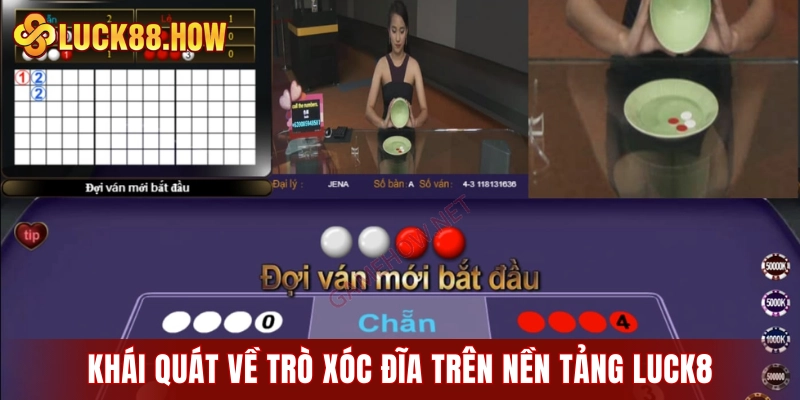 Khái quát về trò xóc đĩa trên nền tảng LUCK8